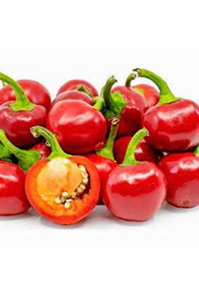 Köy Tohumları 50 Adet Tohum Nadir Kırmızı Turşuluk Acı Kiraz Biberi Tohum Sak...