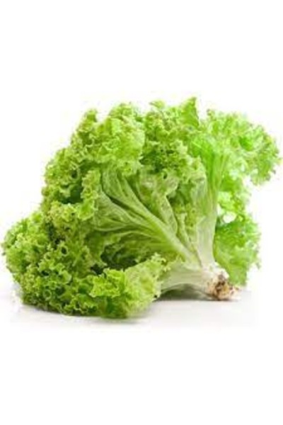 Köy Tohumları 100 Adet Tohum Nadir Arap Saçı Kıvırcık Organik Marul Tohumu Ye...