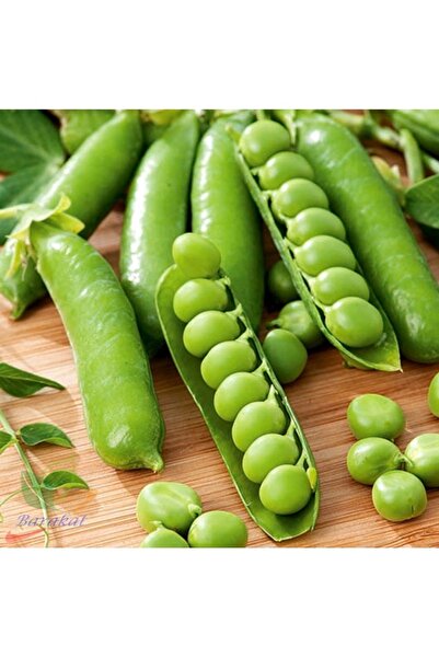 Köy Tohumları 200 Adet Tohum Kışlık Dolaplık Araka Organik Bezelye Tohumu Sür...