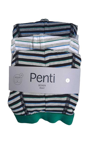 Penti Stripe Πολύχρωμα 3 Boxers