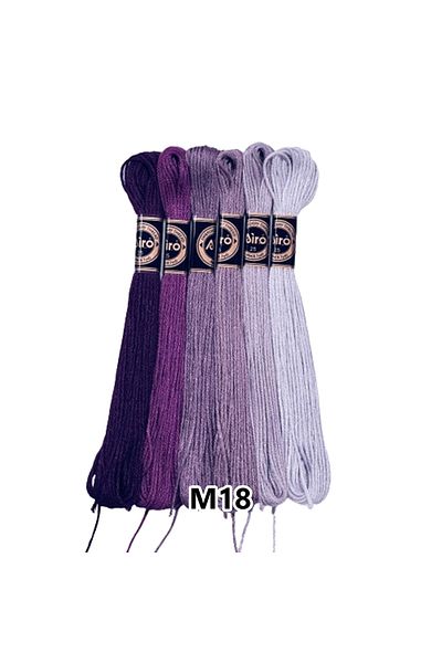 EleganTShoP Airo Muline Etamine Cotton Embroidery Thread Set of 6
