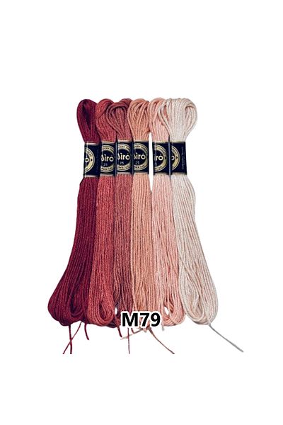 EleganTShoP Airo Muline Etamine Cotton Embroidery Thread Set of 6