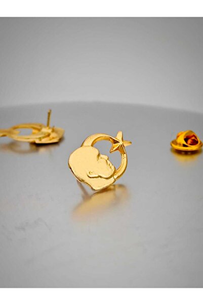 YÖRÜK TASARIM Ay Yıldız Atatürk Yaka Rozeti