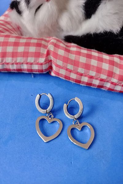 Boox99 Steel Heart Model Earrings