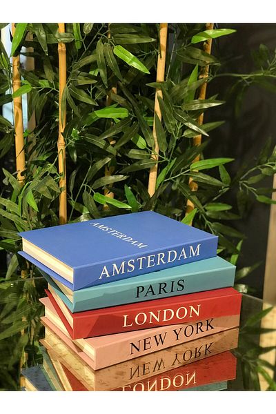 Dekordan House Decorative Book Box