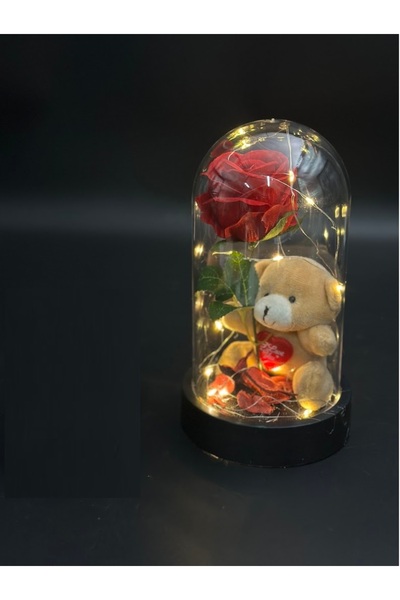 Masalsı Concept 14 Şubat Sevgililer günü Hediyesi Ledli Fanusta Kırmızı Gül p...