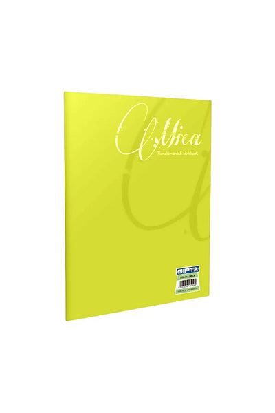Gıpta Gipta Mica Plastic Cover Notebook A4 Stripes 80 Sheets (1707)