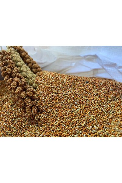 hanımelipetstore Dal Darıdan Elenmiş Kızıldarı (elenmiş Kızıl Darı ) 2kg