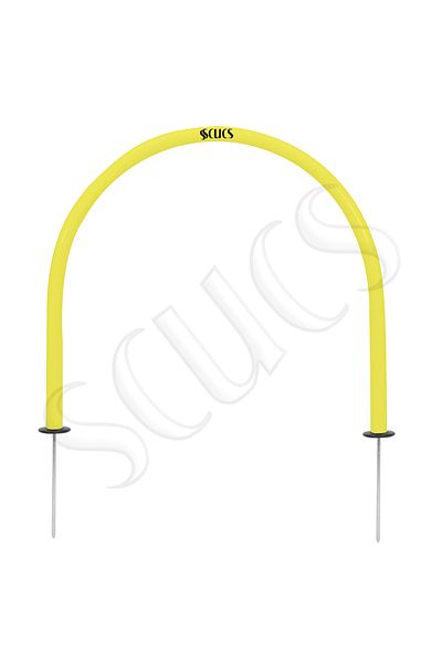SCUCS PAS APPARATUS NAILED