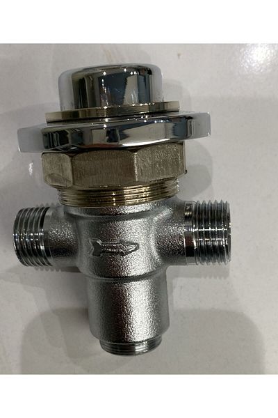 Viaypi Push Pull Time Adjustable Rosette Faucet