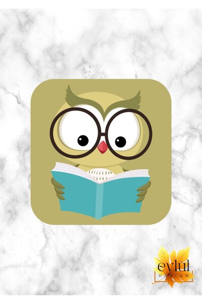 Eylül Design Cute Owl Printed Special Design Printed MDF A Quality Square Coa...