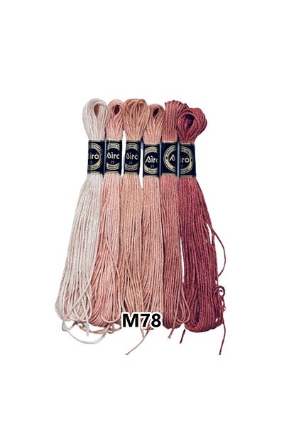 EleganTShoP Airo Muline Etamine Cotton Embroidery Thread Set of 6