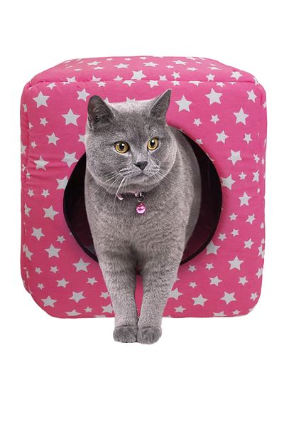 Patiderm Three Function Cat Dog Closed Square Sponge Bed - Pink