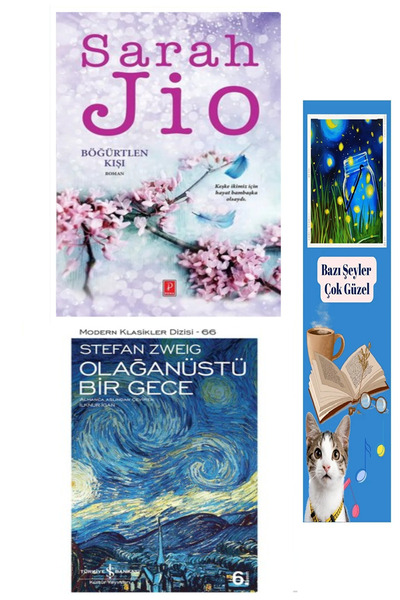 TÜRKİYE İŞ BANKASI KÜLTÜR YAYINLARI Böğürtlen Kışı - Sarah Jio - Koleksiyon K...