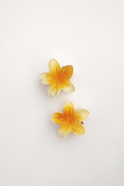 New Obsessions Mini Hibiscus Luxury Acetate Flower Latch Πόρπη Μίνι Μέγεθος 2 Συσκευασία