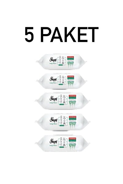 Sleepy Yüzey Temizlik Mendili Havlusu 100' Lü 5 PAKET 500 YAPRAK
