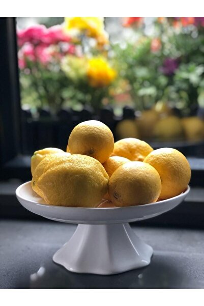 MeGgDecor Suport Fructe Pe Picioare Bol Prezentare Suport Tort Diametru 21cm ...