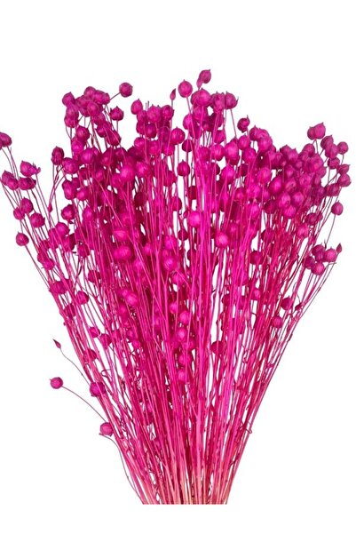 Nettenevime Kuru Çiçek Doğal Luna Otu Koyu Pembe Renk 40-50gram 1. Kalite Lin...