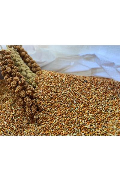 hanımelipetstore Dal Darıdan Elenmiş Kızıldarı (elenmiş Kızıl Darı ) 1kg
