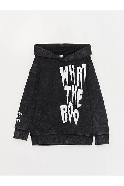 LC Waikiki LCW Kids Printed Long Sleeve Boys Hoodie and Sweatpants