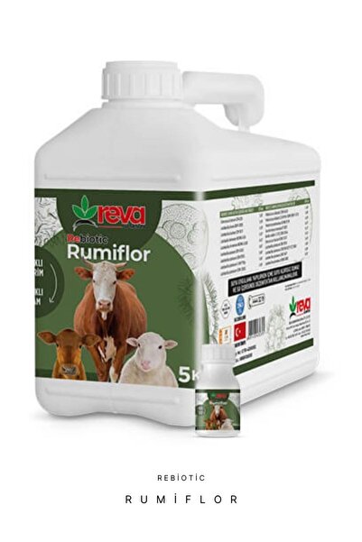 REVA Rebiotic Rumiflor Probiyotik 5KG