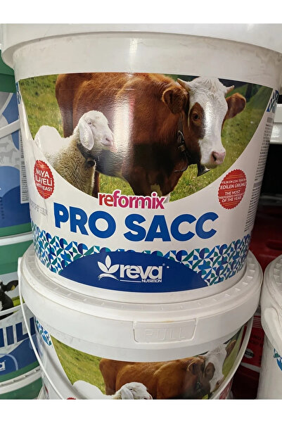 REVA PROSACC 4 KG KOVA