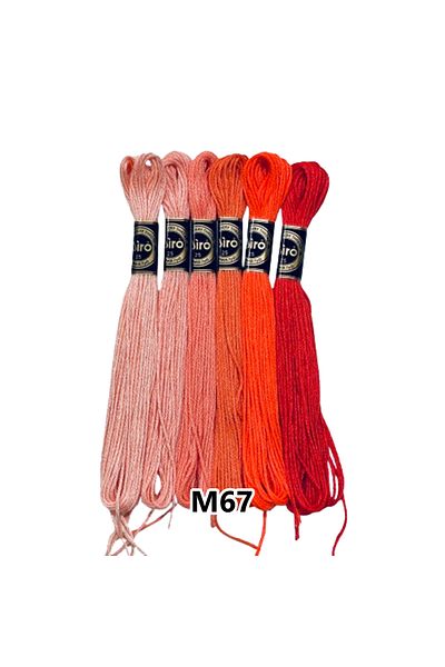 EleganTShoP Airo Muline Etamine Cotton Embroidery Thread Set of 6