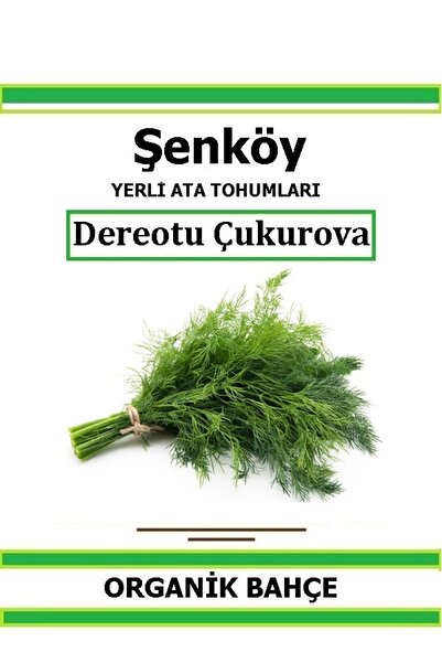 Şenköy Yerli Akdeniz Dereotu Tohumu Doğal Ata Tohum Pakette 5 gr 3500 Tohum H...