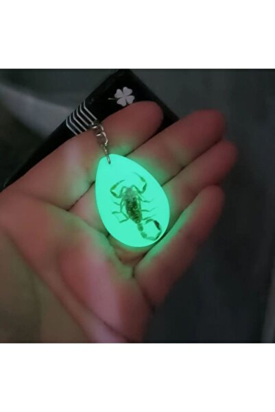 izmirpazarı Fosforlu Akrep Fosili Anahtarlık