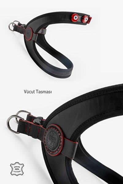 BANDOGSTYLE Karain Koleksiyon Gerçek Pull Up Deri Cam Nazar Boncuğu Işlemeli Köpek Vücut Tasması