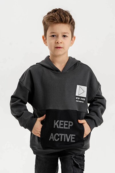 Gold Class Kidswear Момчешки суичър с три нишки с качулка и цип