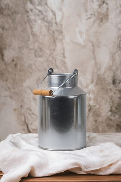 LUCKYHOMES Nămol de lapte mic galvanizat din inox - stil rustic, 11x18 cm, decorativ