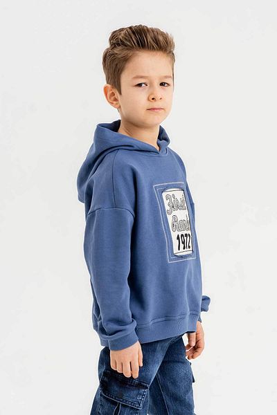Gold Class Kidswear Суичър за момчета от 100% памук и 3 нишки с качулка