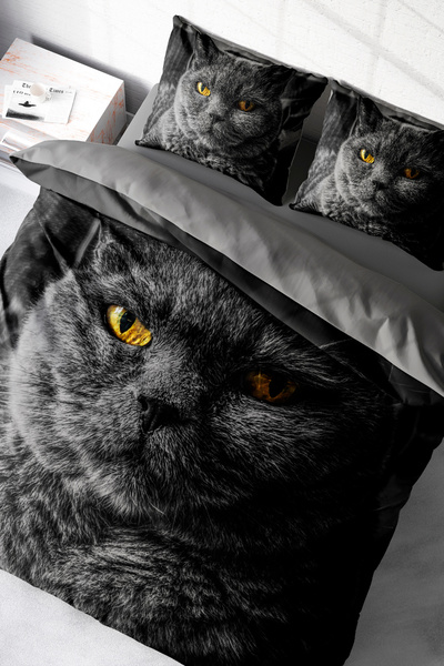 MonoHome Kıng Sıze Serious Cat Naturel Çift Kişilik Nevresim Takımı 220x240cm