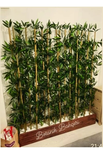 BotanikBahçem Yapay Bamboo Ağacı Orta Asya Gerçek Bambular  2 Mt boy Çubuk  S...