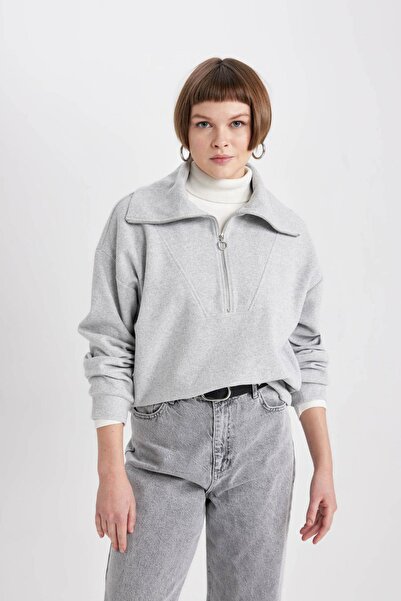DeFacto Regular Fit Polo Neck Half Zipper Sweatshirt