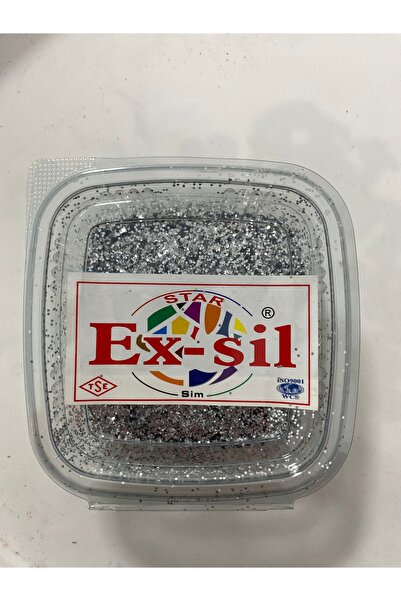 EX SİL EX - SİL BOYA SİMİ GÜMÜŞ 100 Gr