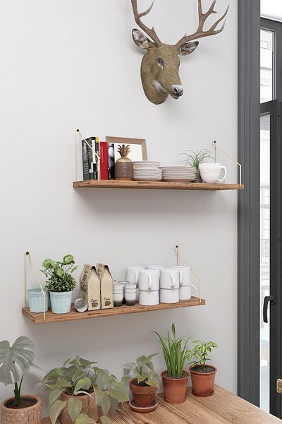 Catchme Wall Shelf Bookshelf Kitchen Bathroom Living Area 20 X 70 cm 2 Pieces Atlantic Pine with Gold Arms