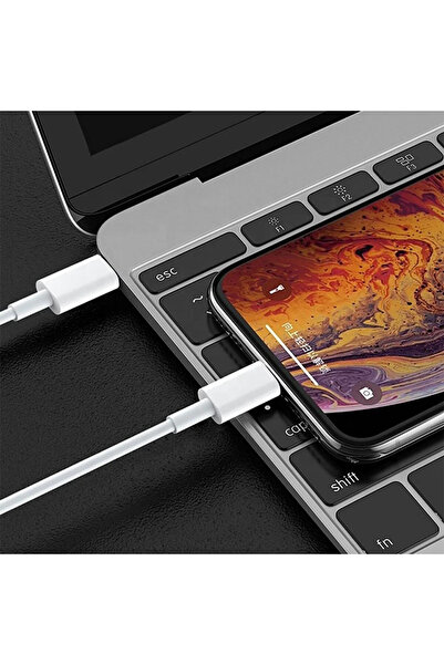Favors Iphone Uyumlu Hızlı Şarj Kablosu Type-c To Lightning 8 /x /xs /xr /11 /12 /13 /14 /pro/max/plus