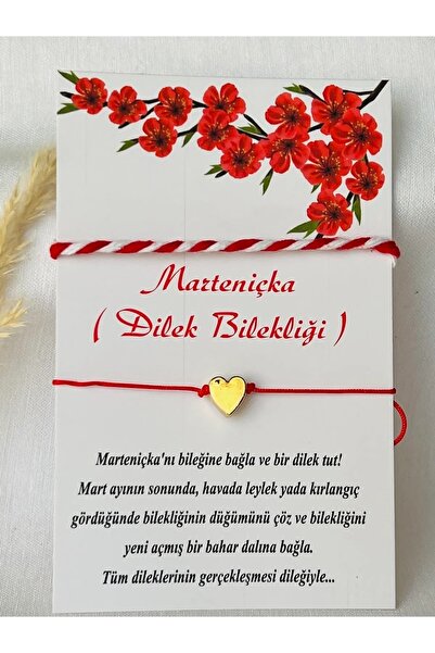 KOALA COMPANY 20 Adet Kartlı Marteniçka Bileklik Ve Kalpli Kırmızı Ip Bileklik