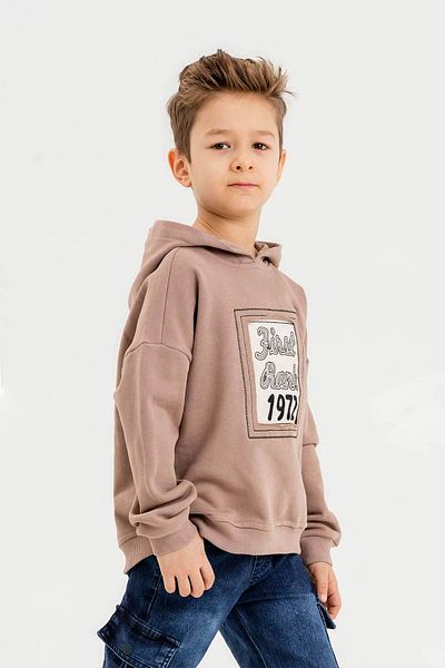Gold Class Kidswear Памучен суичър с 3 нишки за момче с качулка