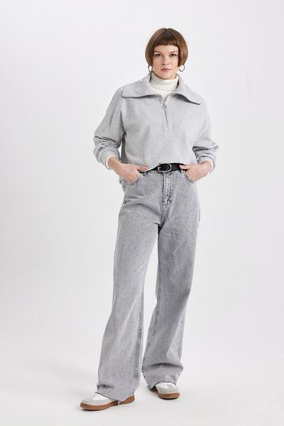 DeFacto Regular Fit Polo Neck Half Zipper Sweatshirt