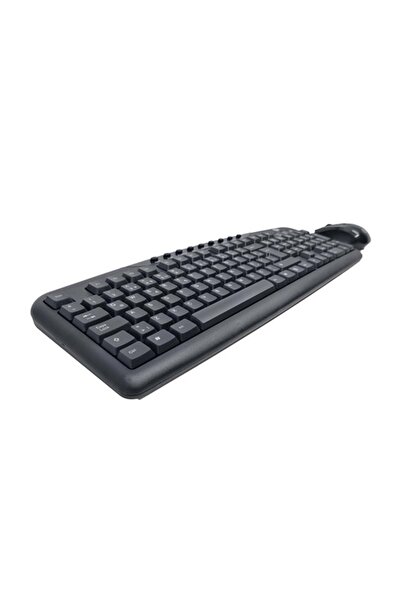 Dexim Kmsw-300 Tr Klavye & Mouse Set