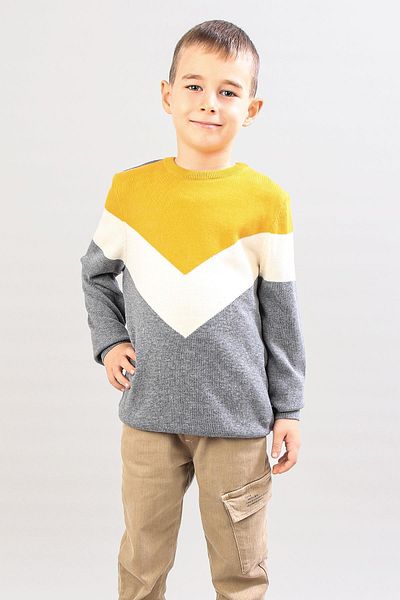 ALEXANDERGARDI Boy's Patterned Sweater (C21-18676)
