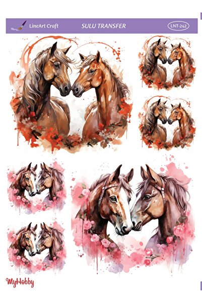 LİNEART Lnt242 Model 25X35Cm Lineart Water Transfer
