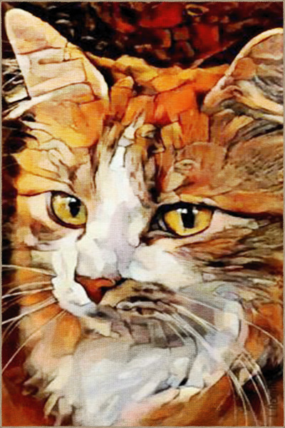 Rugs Modern Halı Turuncu Temalı Sürrealist Tasarım Kedi Desenli Modern Dekora...