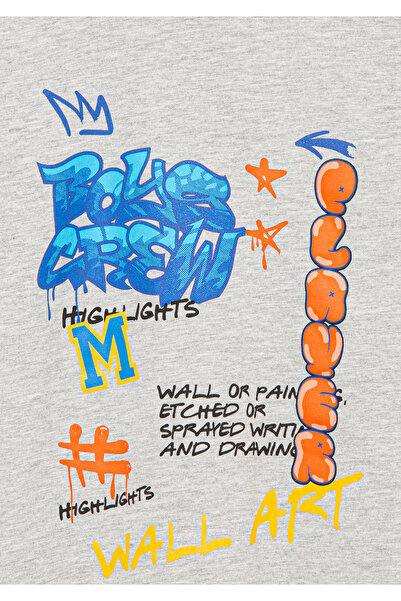 Mavi Boys Crew Printed Gray T-Shirt Regular Fit / Normal Cut 6610145-80196