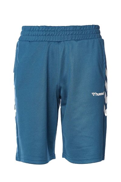 hummel Pantaloni scurți Falconzo pentru bărbați 931145-7511