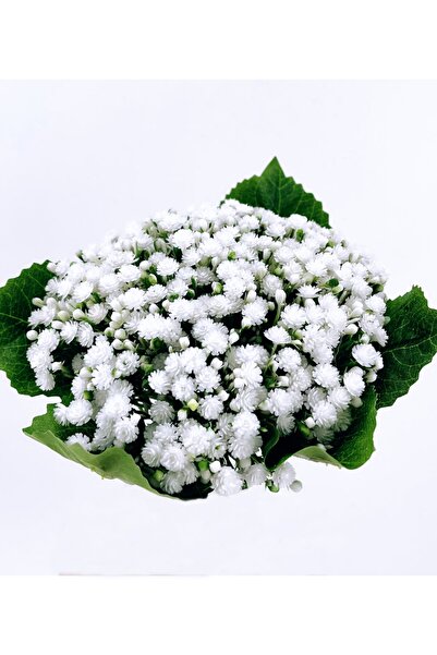 MD Aspiz Flowers yapay Lüx cipso gelin buketi Gypsophila çiçek plastik _ sarm...