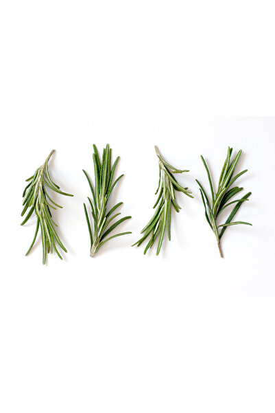 Otantik Tatlar Taze Biberiye(AĞAÇTAN YENİ TOPLANMIŞ) (50 GR) Fresh Rosemary